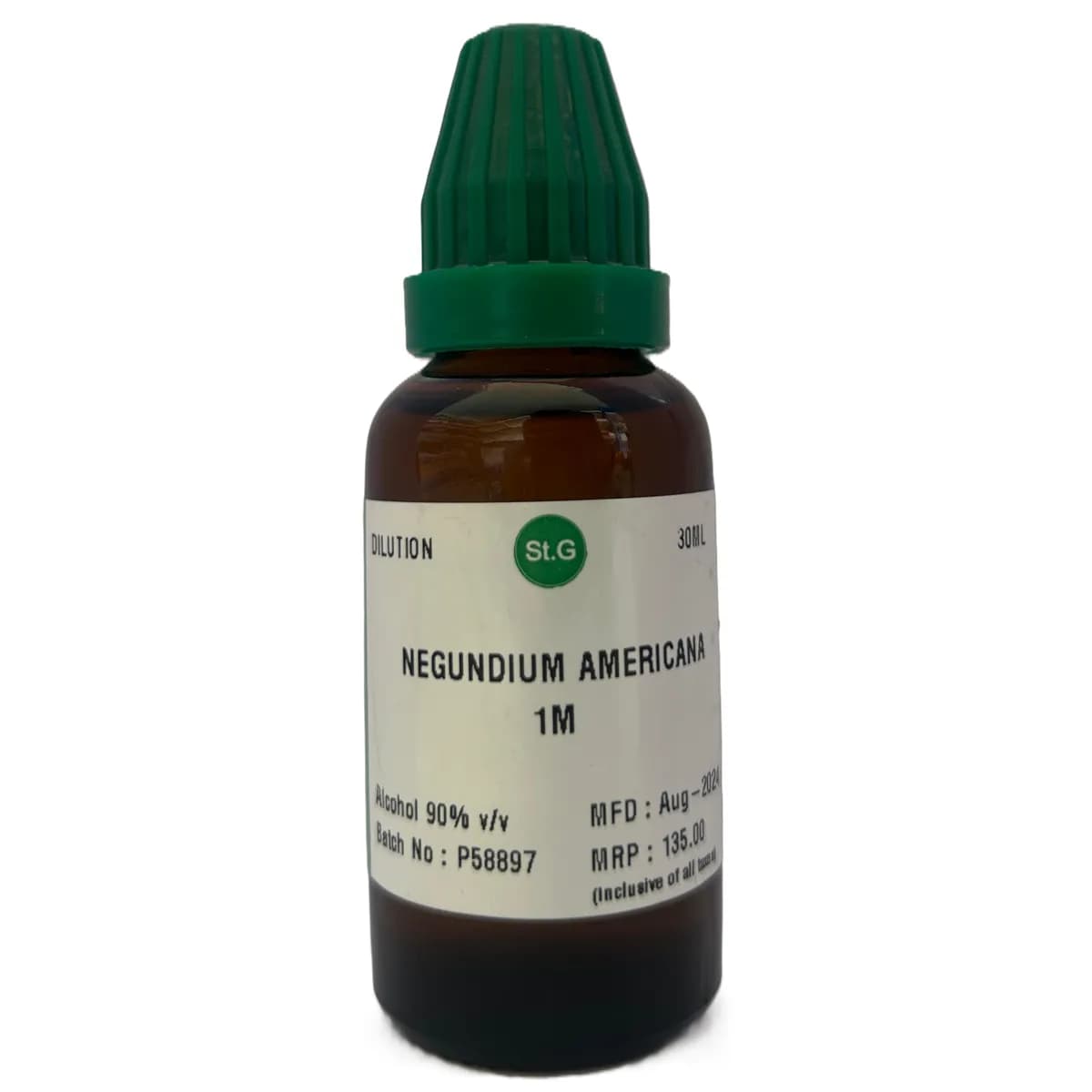 Negundium Americana 2