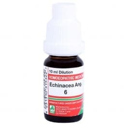 Echinacea Angustifolia 8