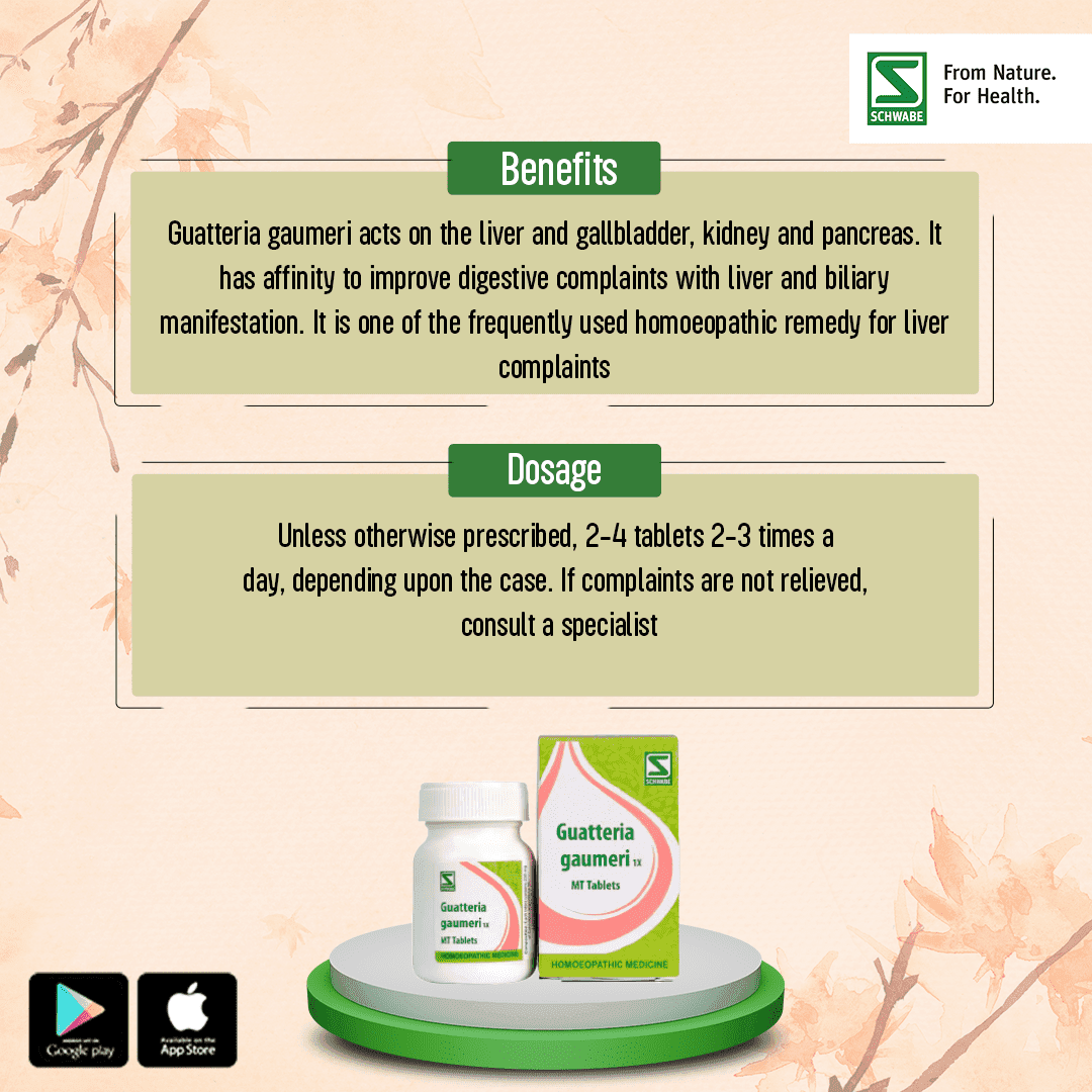 Guatteria Gaumeri 10