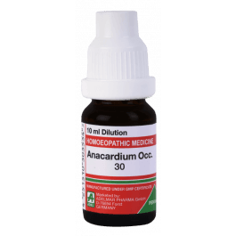 Anacardium Occidentale 4