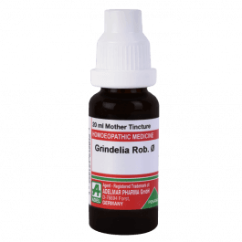 Grindelia Robusta 8