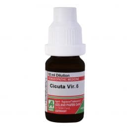 Cicuta Virosa 3