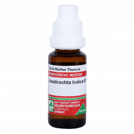 Azadirachta Indica 7