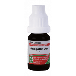 Anagallis Arvensis 4