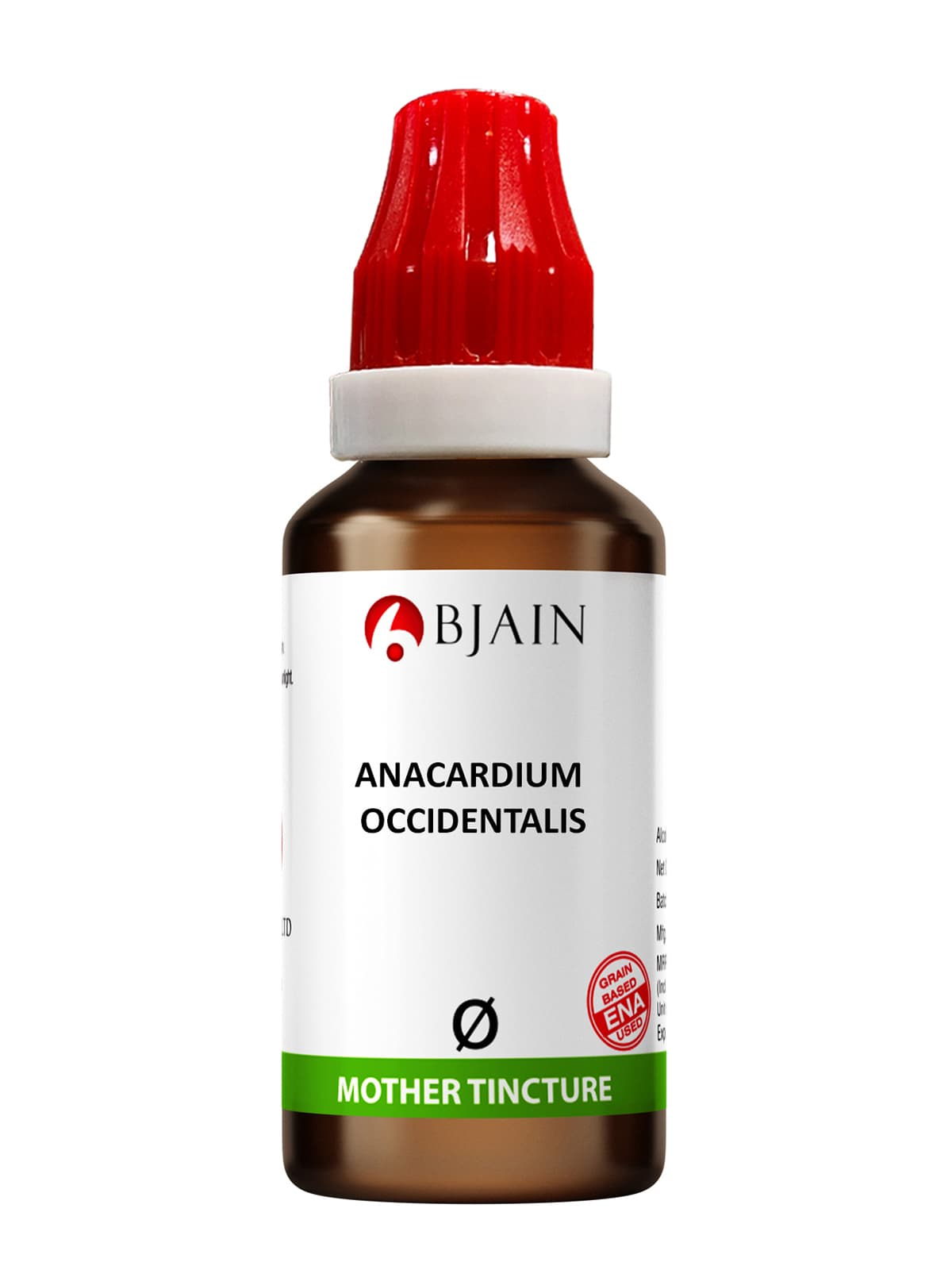 Anacardium Occidentale 5