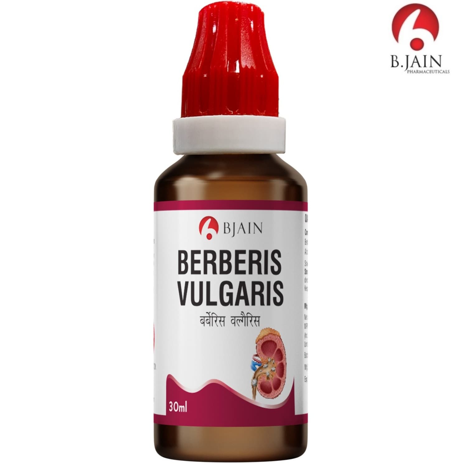 Berberis Vulgaris 9