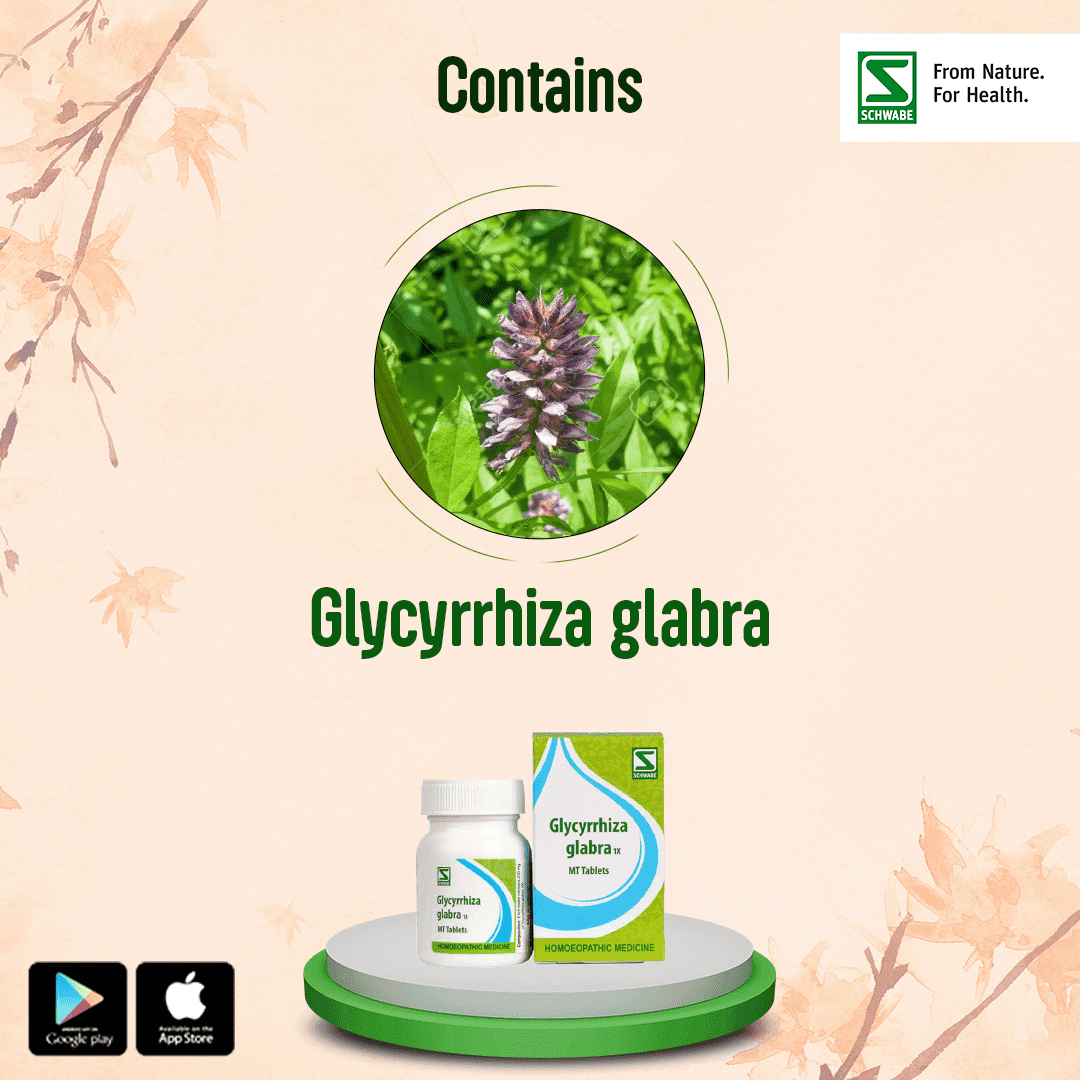 Glycyrrhiza Glabra 4