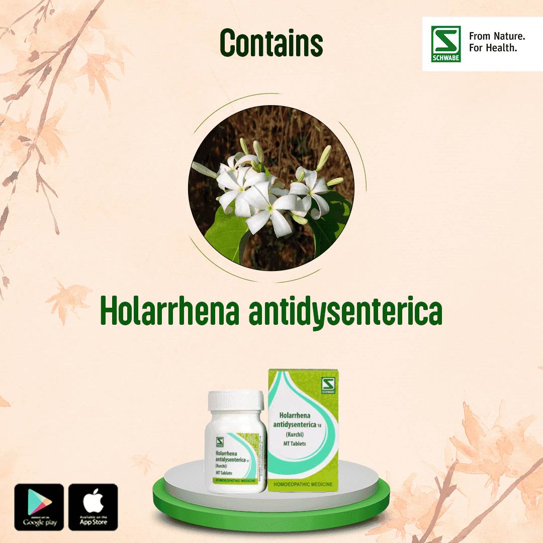 Holarrhena Antidysenterica 4