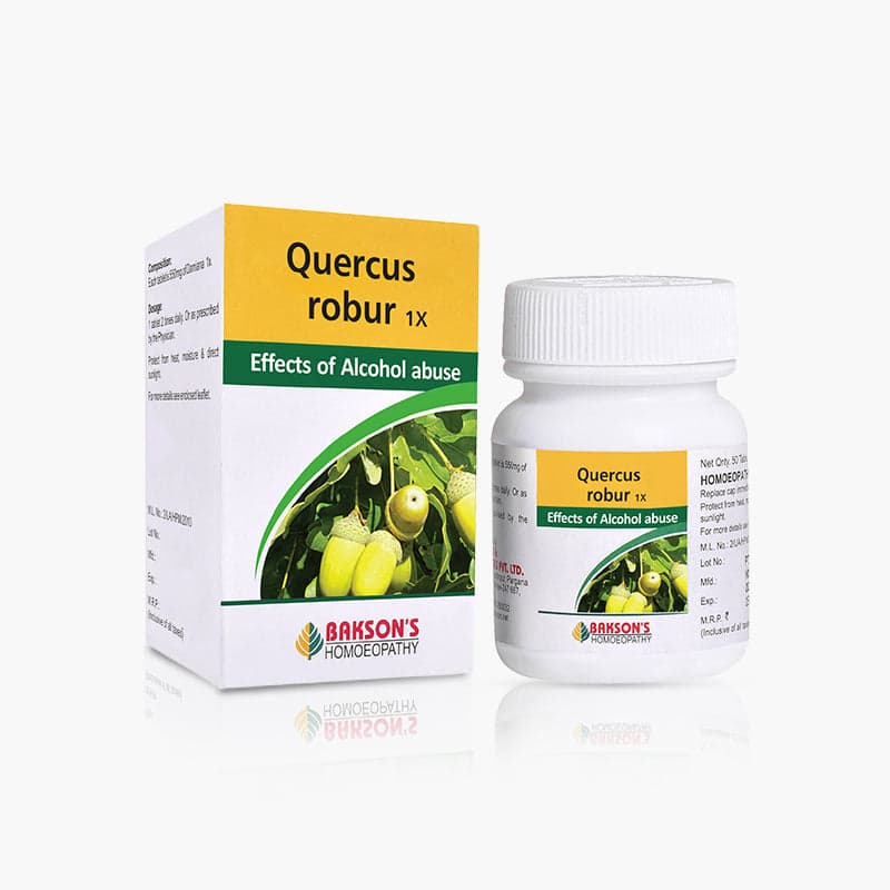 Quercus Robur 3