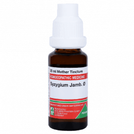 Syzygium Jambolanum 6