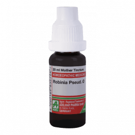 Robinia Pseudacacia 5