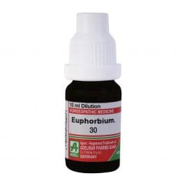 Euphorbium 3