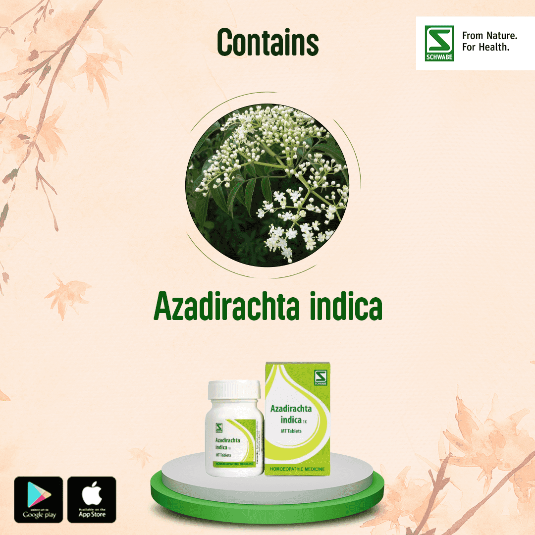 Azadirachta Indica 3