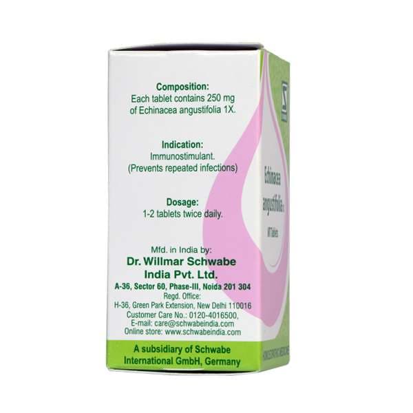 Echinacea Angustifolia 7