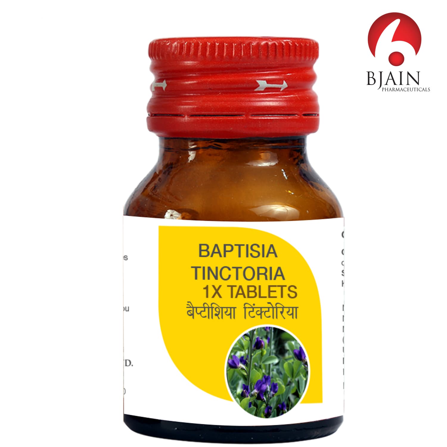 Baptisia Tinctoria 8