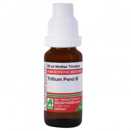 Trillium Pendulum 4