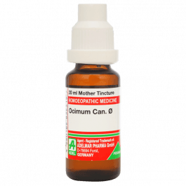 Ocimum Canum 10