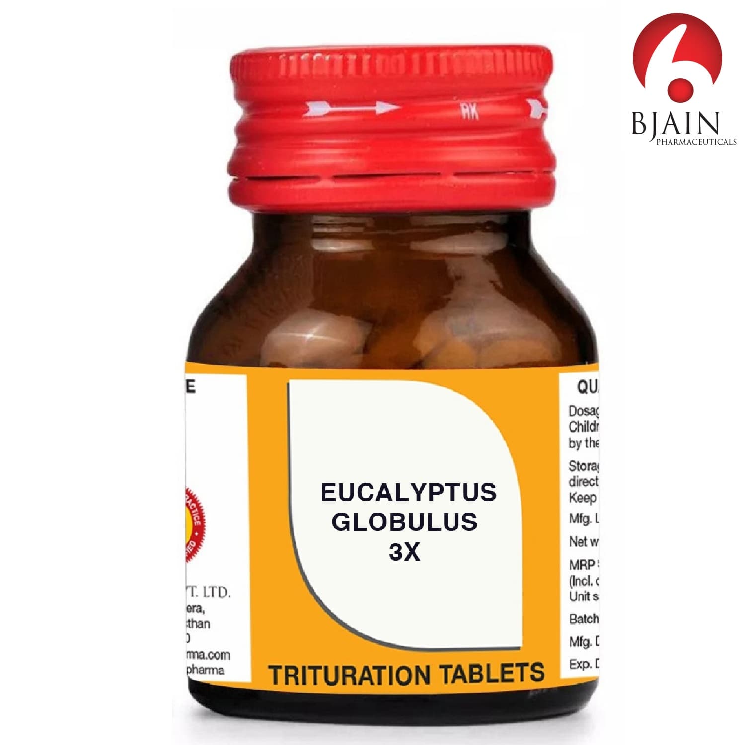 Eucalyptus Globulus 4