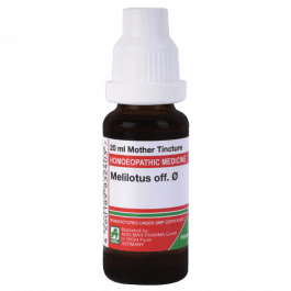 Melilotus Officinalis 7