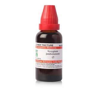 Syzygium Jambolanum 5