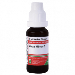 Vinca Minor 8