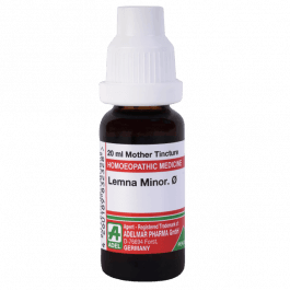 Lemna Minor 5