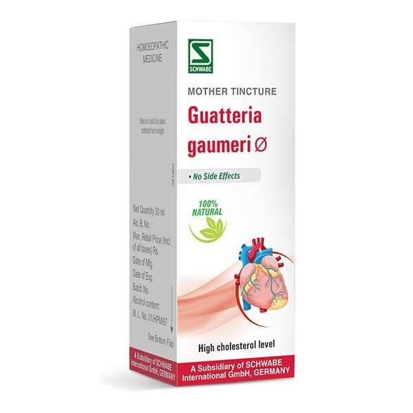 Guatteria Gaumeri 2
