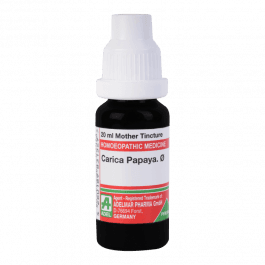 Carica Papaya 6