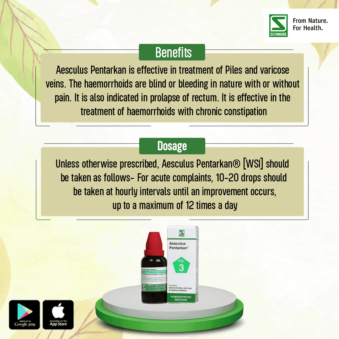 Aesculus Pentarkan 4