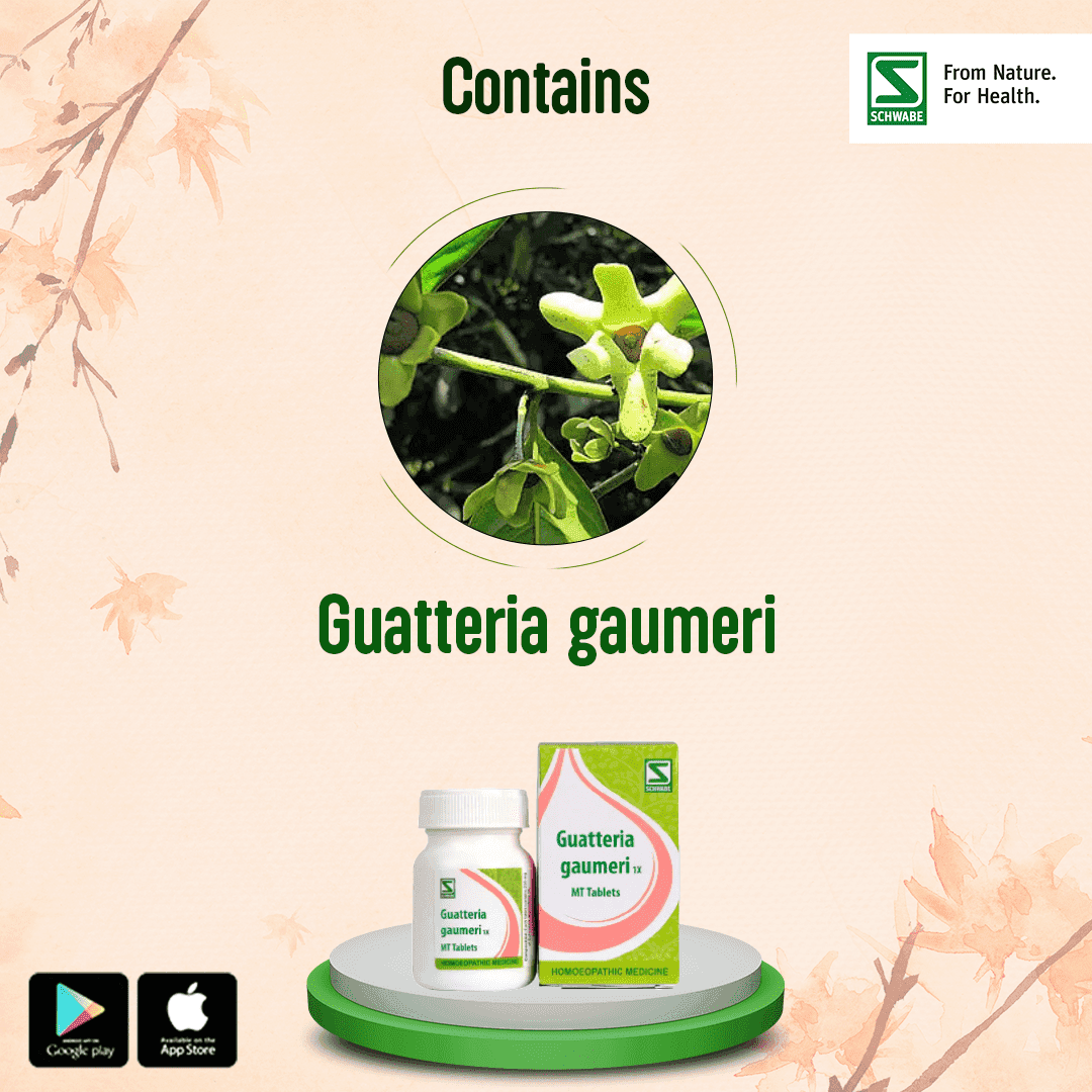 Guatteria Gaumeri 9