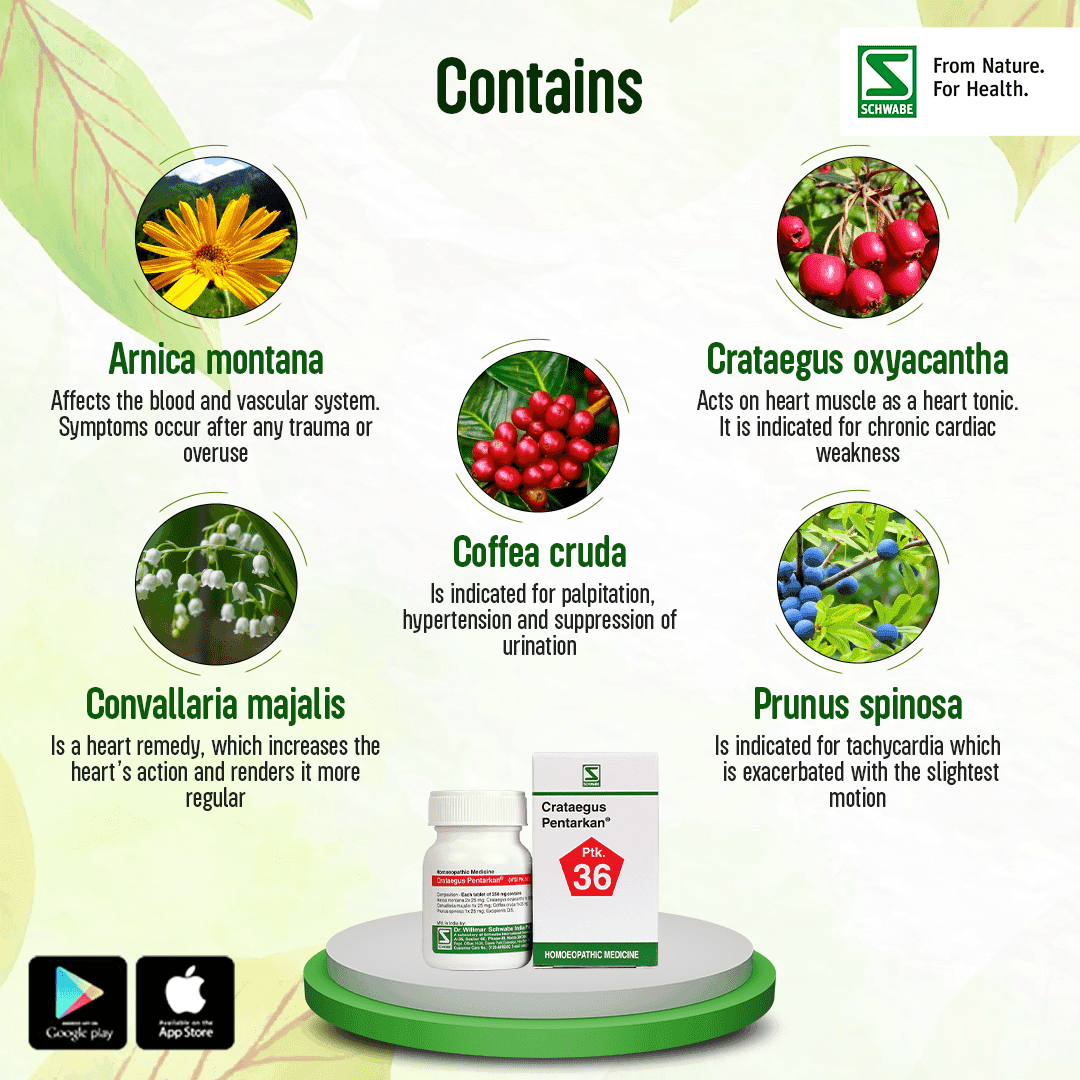 Crataegus Pentarkan* 2