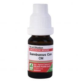 Sambucus Nigra 8