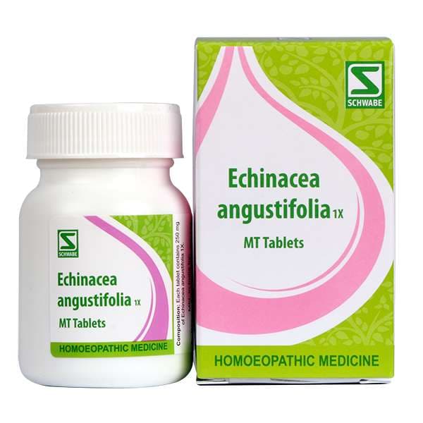Echinacea Angustifolia 6