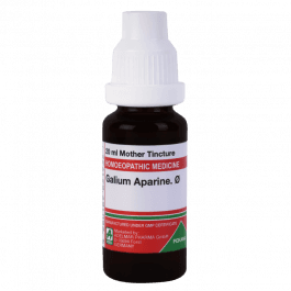 Galium Aparine 8