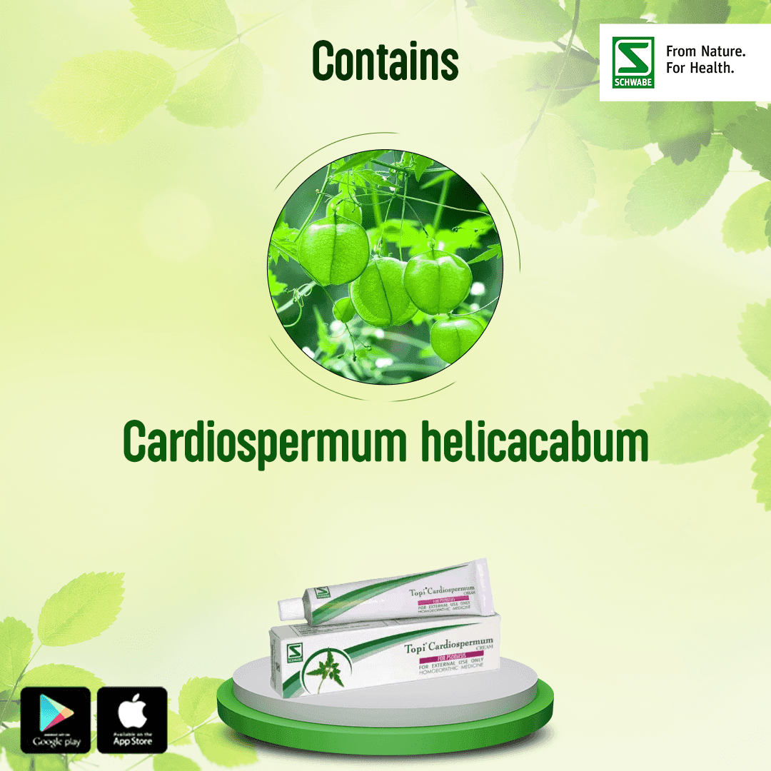 Topi Cardiospermum 3