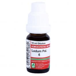 Ledum Palustre 5