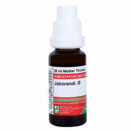 Jaborandi 5