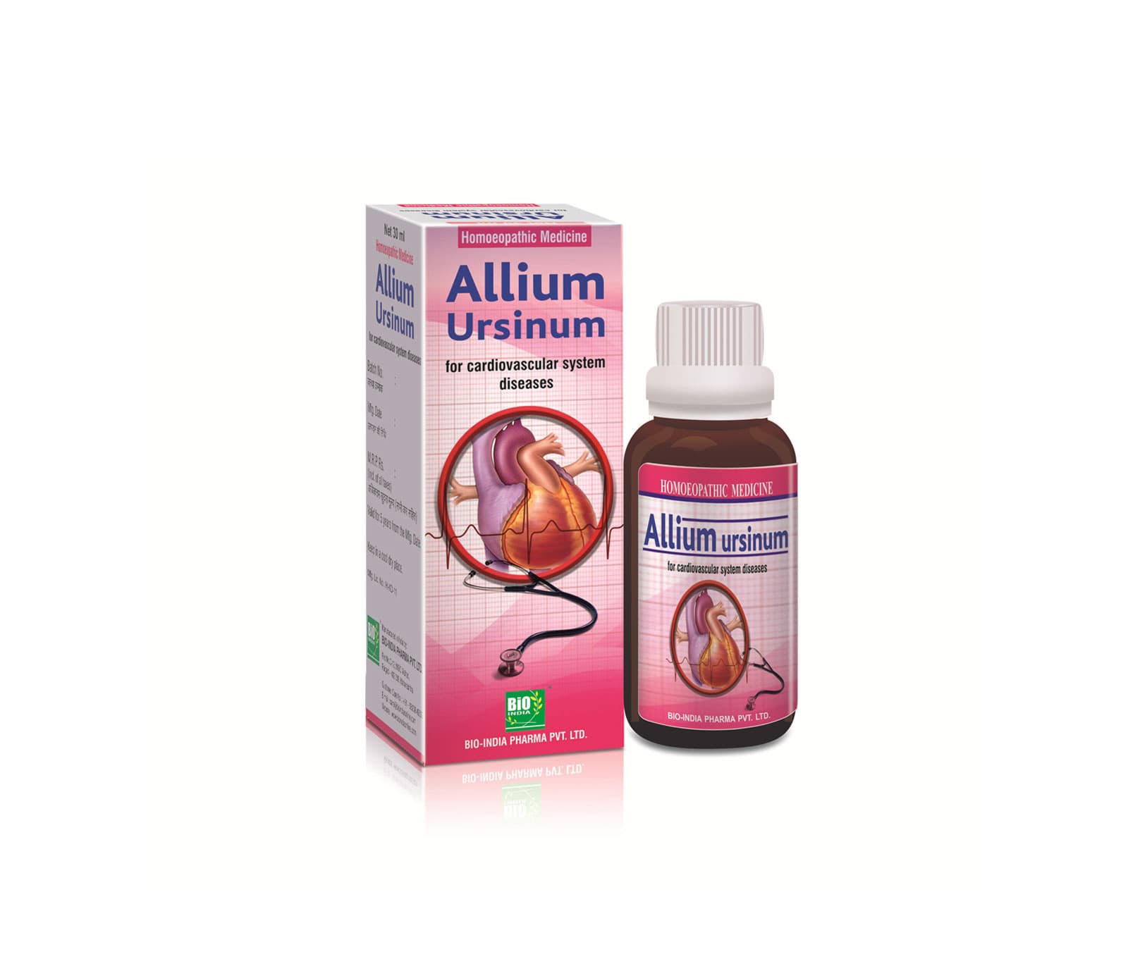 Allium Ursinum 3