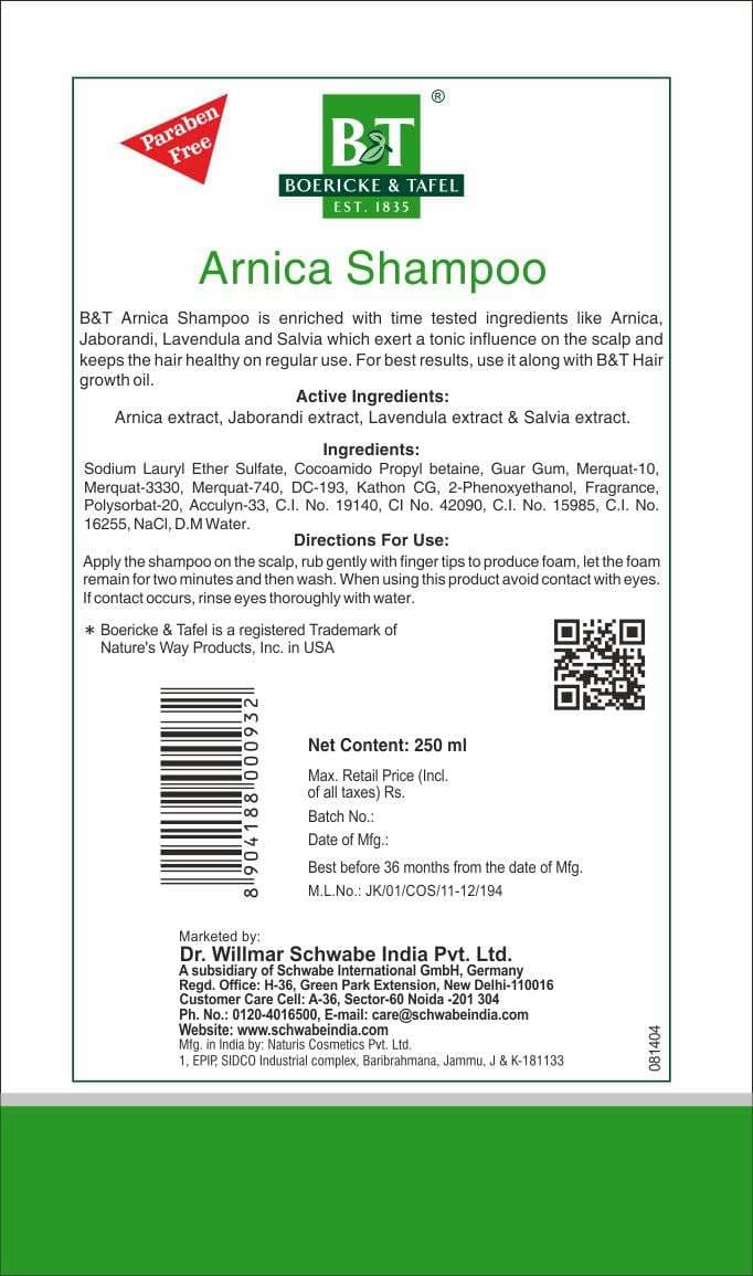 B&T Arnica Shampoo 4