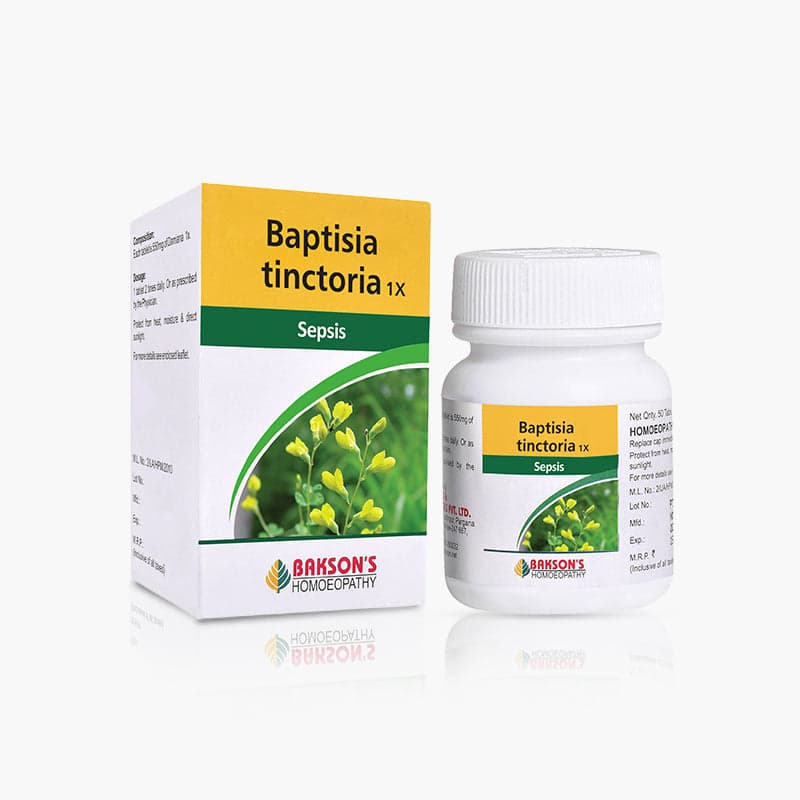 Baptisia Tinctoria 3