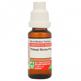 Thlaspi Bursa Pastoris 8