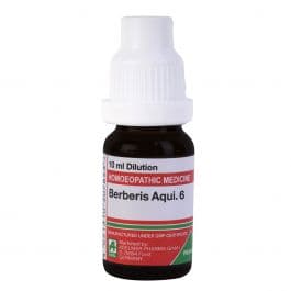 Berberis Aquifolium 7