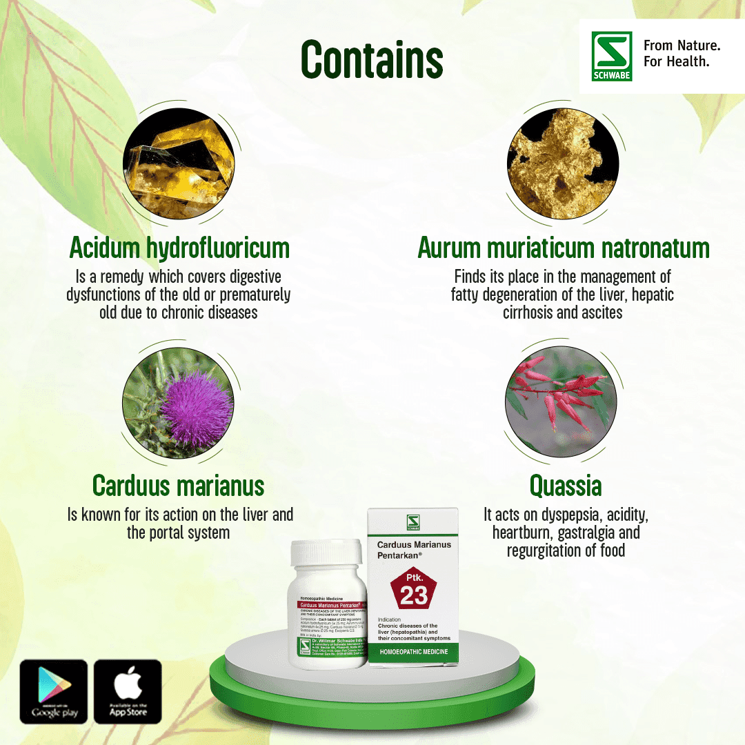 Carduus Marianus Pentarkan 2