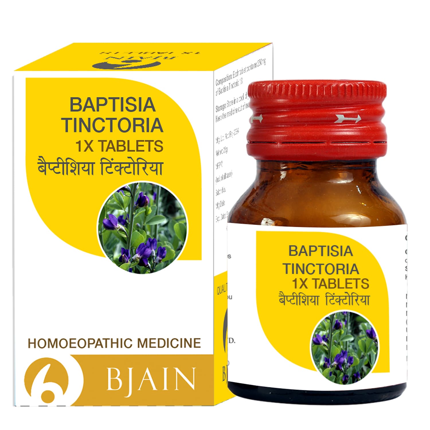 Baptisia Tinctoria 7