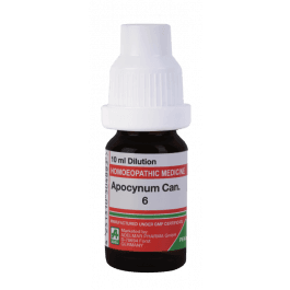 Apocynum Cannabinum 3