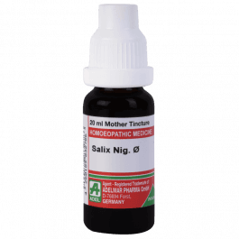 Salix Nigra 8