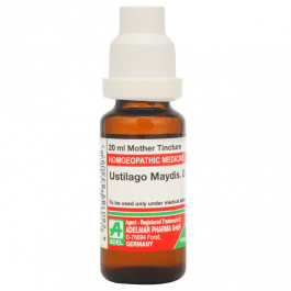 Ustilago Maydis 4