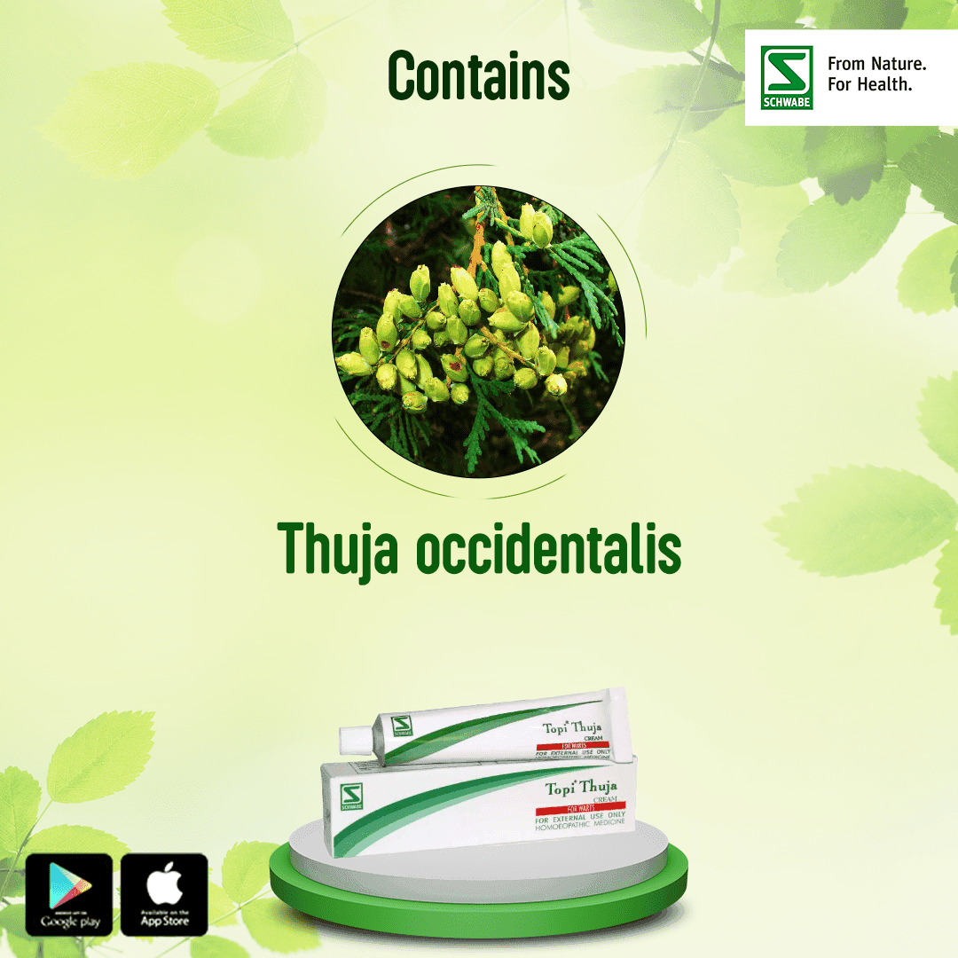 Topi Thuja Cream 5