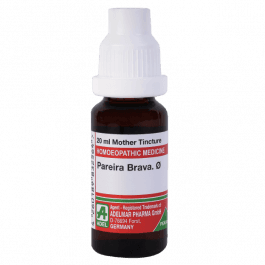 Pareira Brava 8