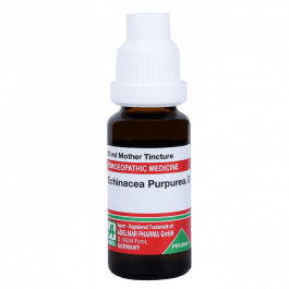 Echinacea Purpurea 3